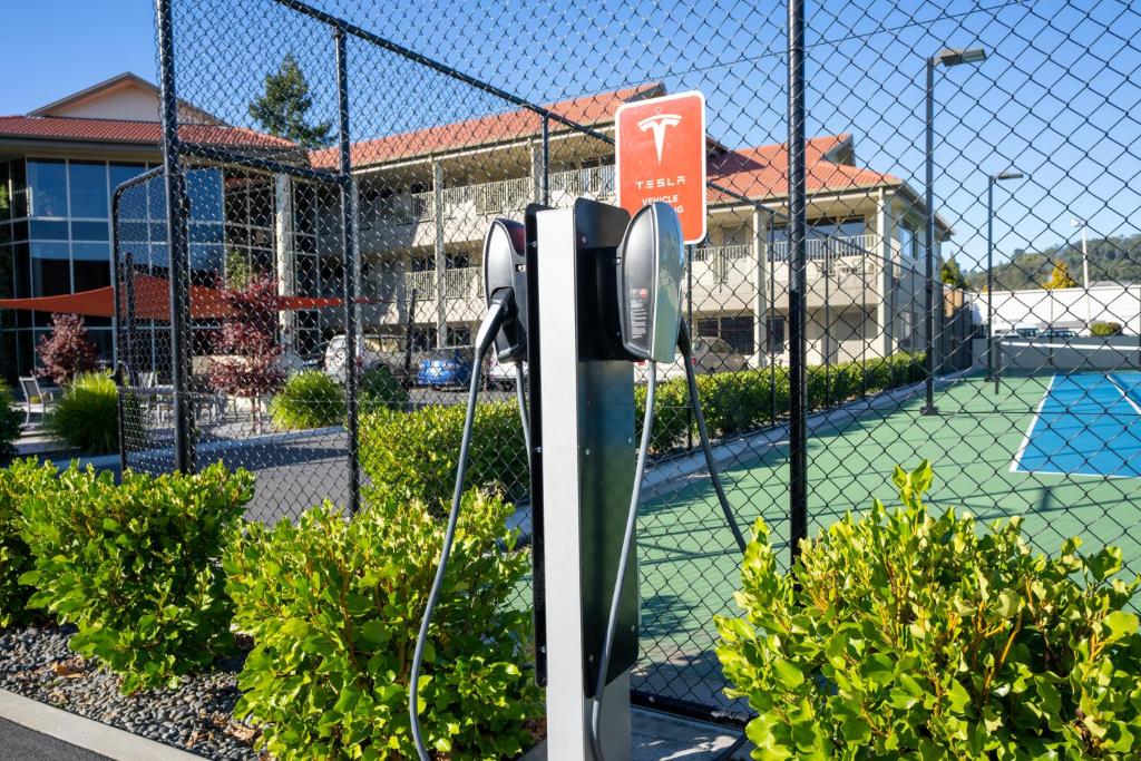 Regal Palms Resort - Resim 8