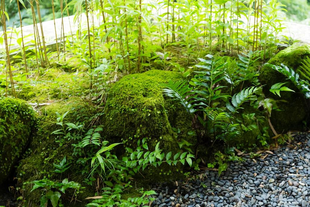 Zahrada ubytování Hakone Yumoto Onsen Hotel Kajikaso