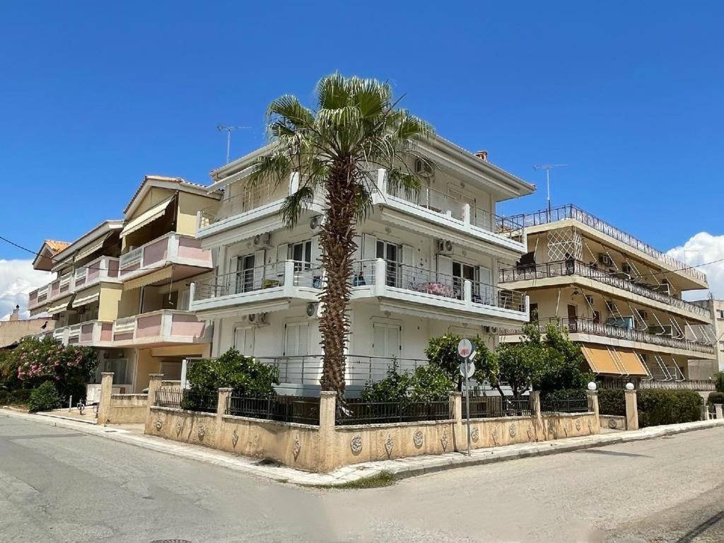 un edificio blanco alto con una palmera delante de él en Pearl of Paralia Akrata en Akrata