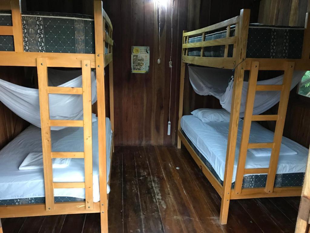Palanda nebo palandy na pokoji v ubytování Onda Hostel Mompiche