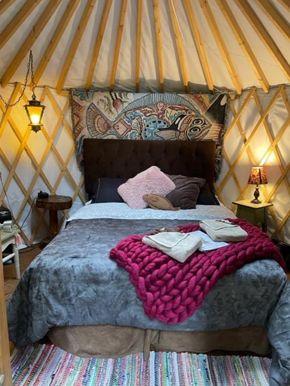 Nauti Otter Inn and Yurt Village - Yurta Queen En Yurt Village Con Baño Compartido