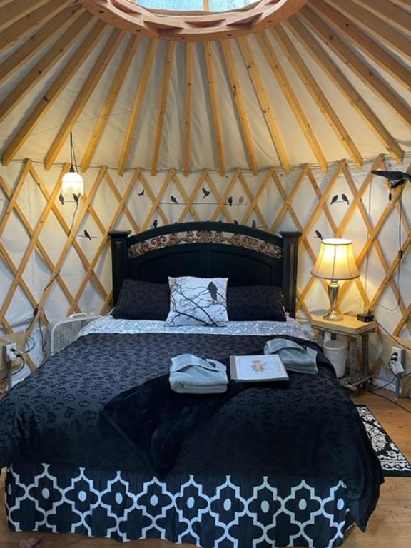 Nauti Otter Inn and Yurt Village - Yurta Queen En Yurt Village Con Baño Compartido