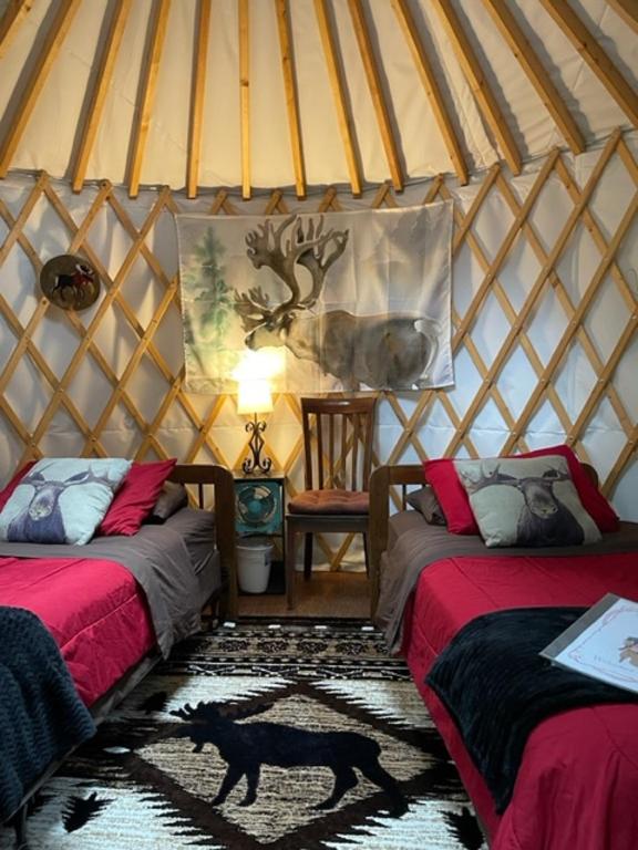 Nauti Otter Inn and Yurt Village - Yurt - Two Single Beds With Shared Bathroom
