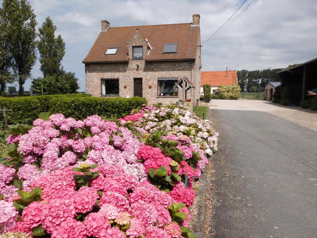 Zahrada ubytování B&B Het Polderhof