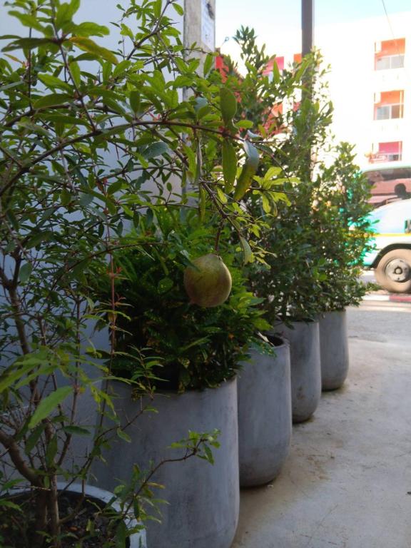 The Brown Boutique Patong - Resim 40