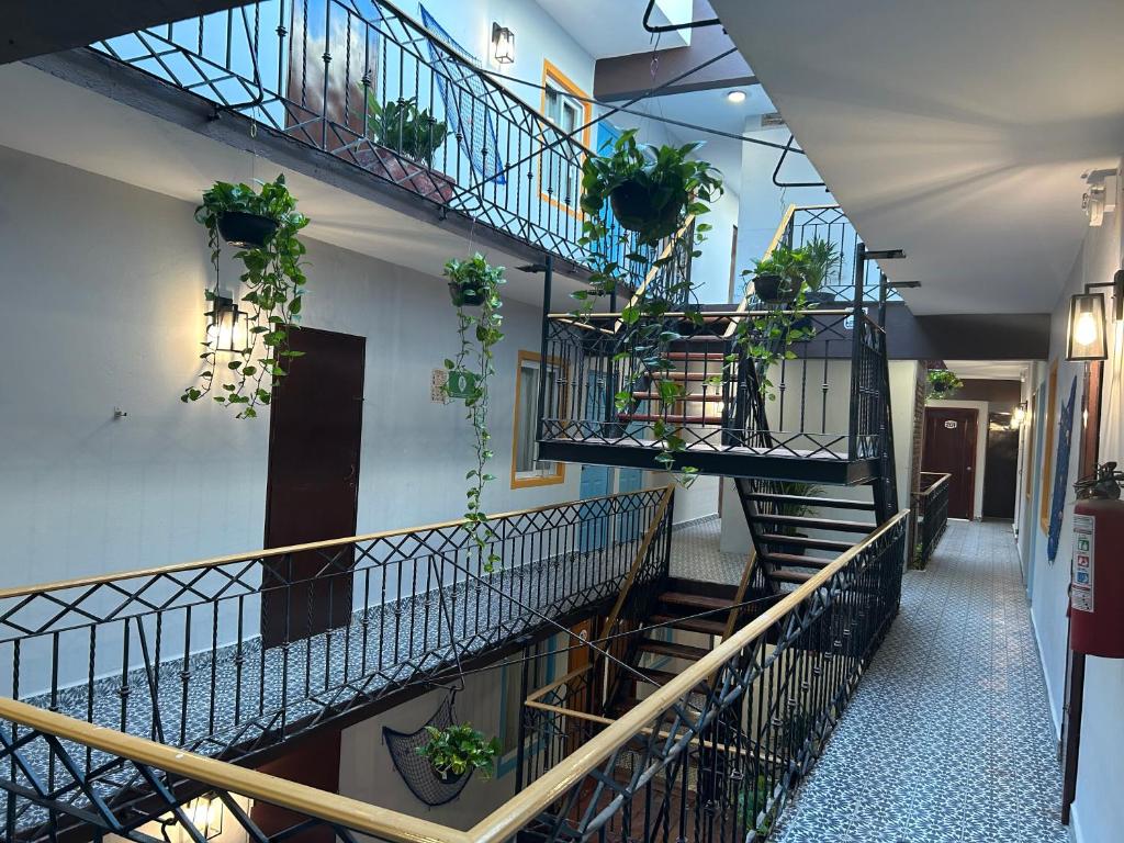 Fotografie z fotogalerie ubytování Hotel Jar8 Bule v destinaci Boca del Río