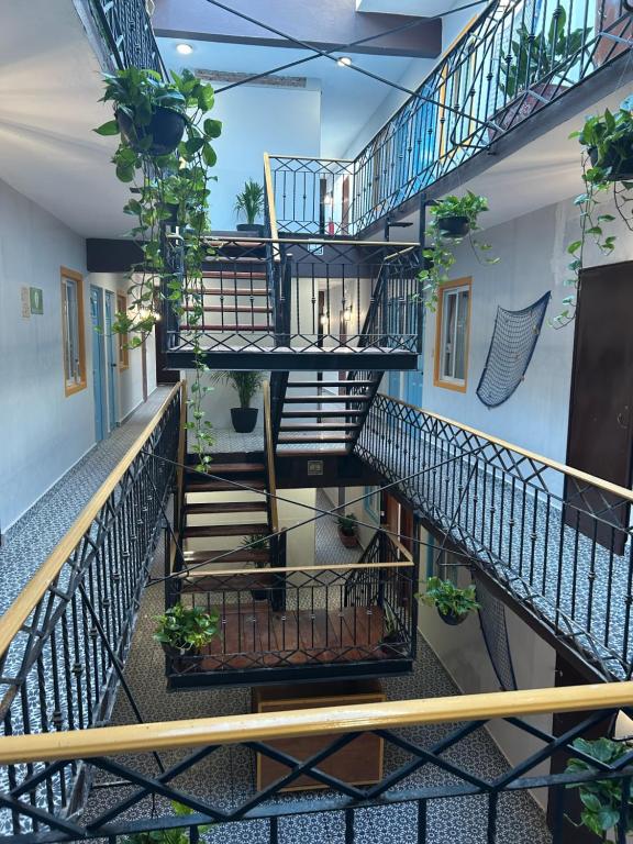 Fotografie z fotogalerie ubytování Hotel Jar8 Bule v destinaci Boca del Río