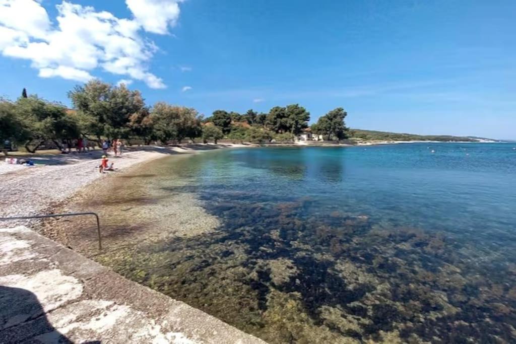 a beach with clear water and trees in the background at Rosa apartment Mirca in Mirce