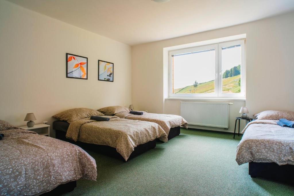 Postel nebo postele na pokoji v ubytování Apartmány Špička - Stříbrnice u sjezdovky