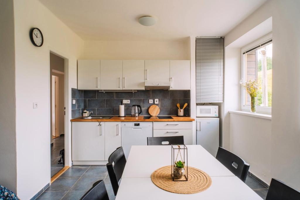 Kuchyň nebo kuchyňský kout v ubytování Apartmány Špička - Stříbrnice u sjezdovky