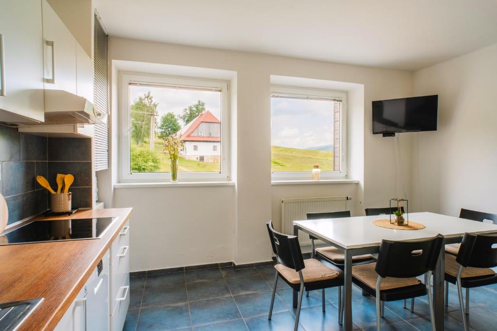 Kuchyň nebo kuchyňský kout v ubytování Apartmány Špička - Stříbrnice u sjezdovky