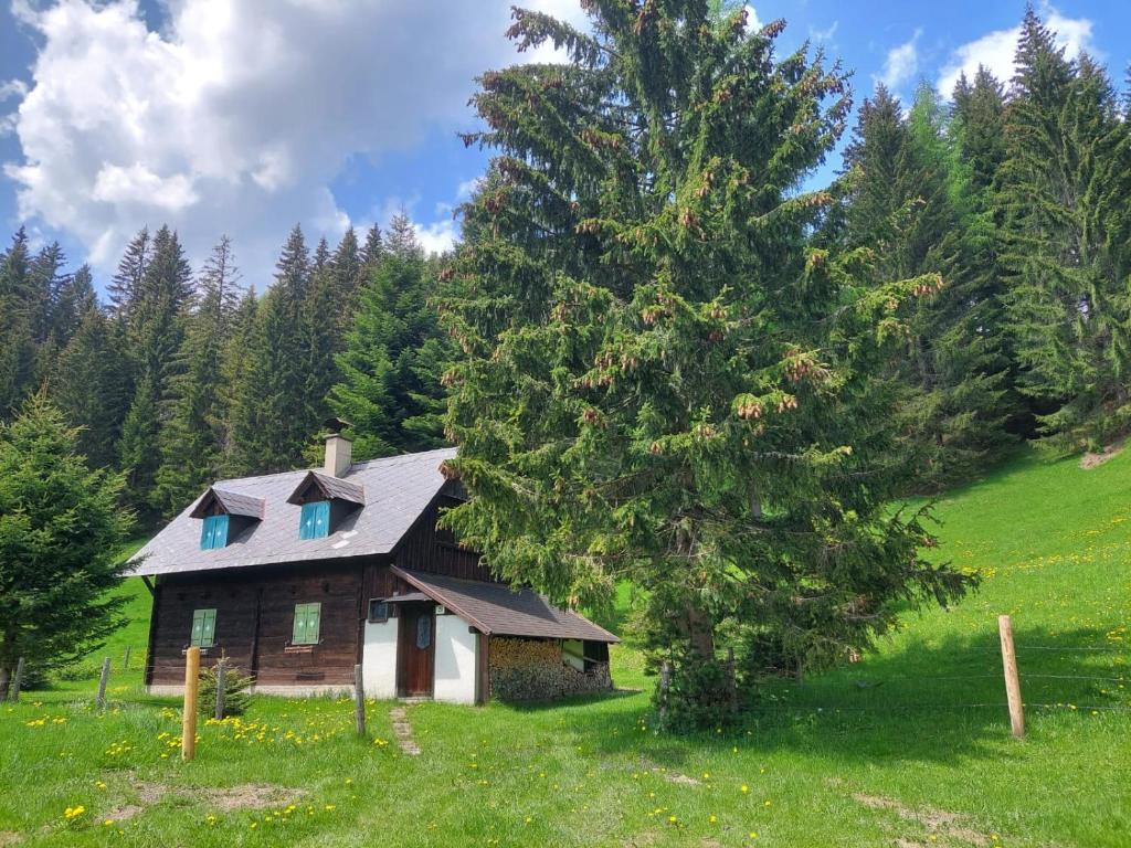 une petite maison dans un champ avec un arbre dans l'établissement Almzeithütte am Seeberg, 