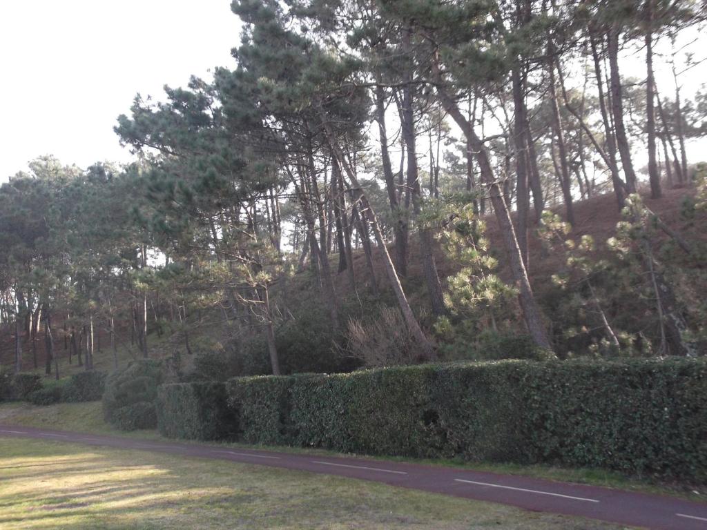 une rangée de haies sur le côté d'une route dans l'établissement Residence du lac Mondesir, à Monflanquin