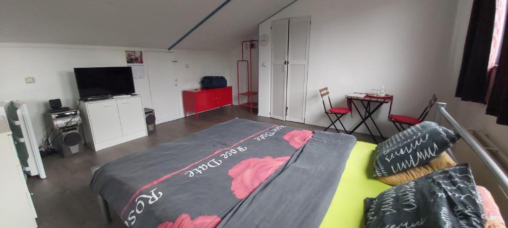 TV a/nebo společenská místnost v ubytování spacious room with free parking