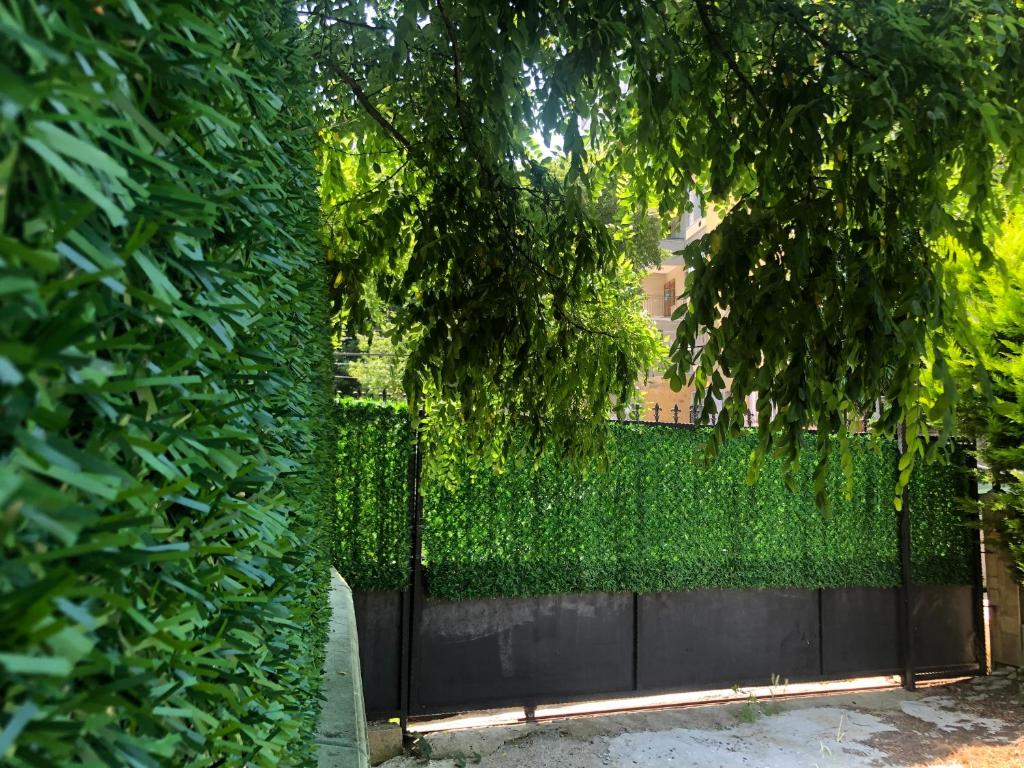 Fotografie z fotogalerie ubytování Garden House v destinaci Istanbul