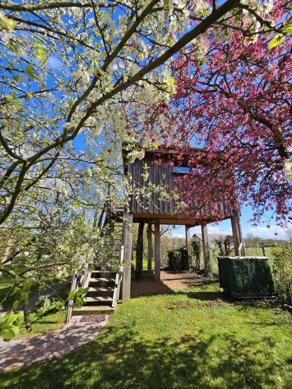 a tree with pink flowers on a house with a ladder at Au Refuge Des 3 Ours - Chambres d&#39;hôtes et cabanes in Essuiles-Saint-Rimault