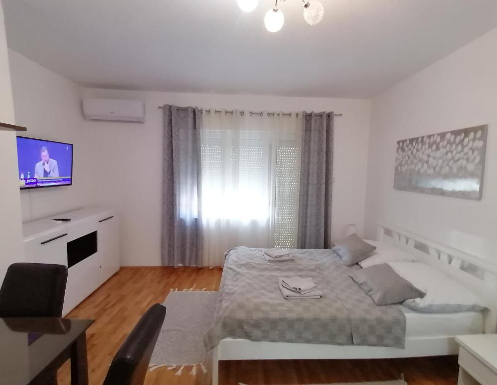 Μια τηλεόραση ή/και κέντρο ψυχαγωγίας στο Apartman - Studio Prnic