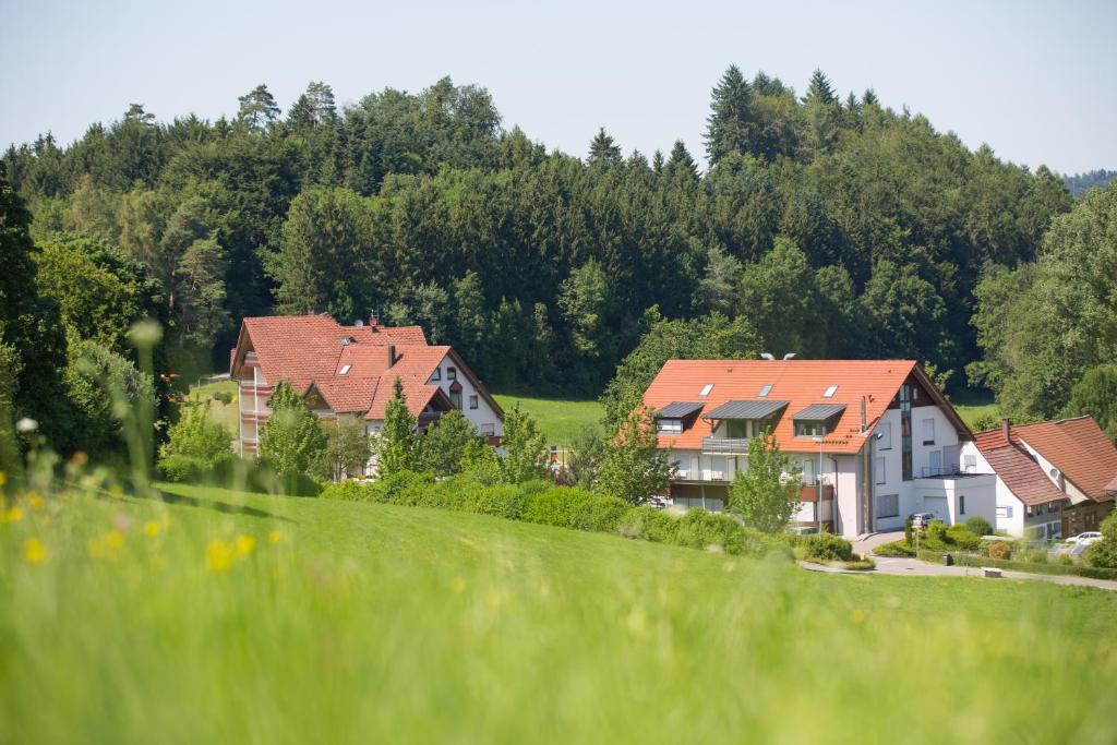 Příroda nedaleko hotelu
