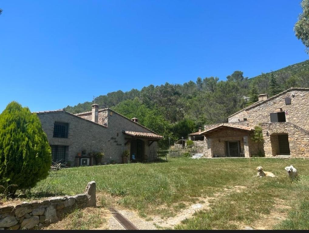 two sheep standing in the grass in front of a building at Masia cerca del río muga in Terrades