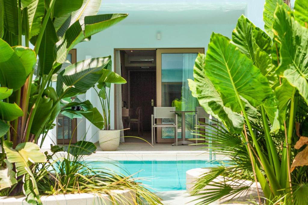 The swimming pool at or close to Blue Sea Island