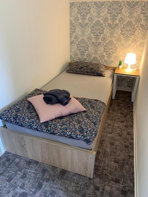リュブリャナにあるL&G ROOMSのベッドルーム1室(ピンクの枕が付いたベッド1台付)