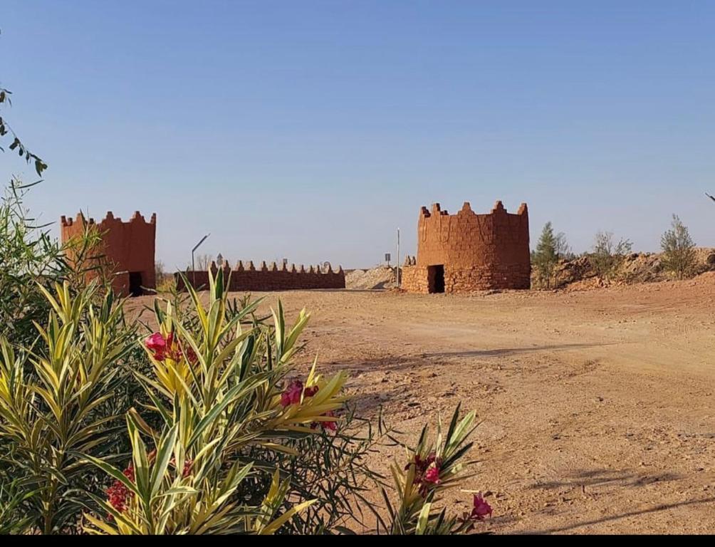 a castle in the middle of a desert with flowers at منتجع تل الزيتون 