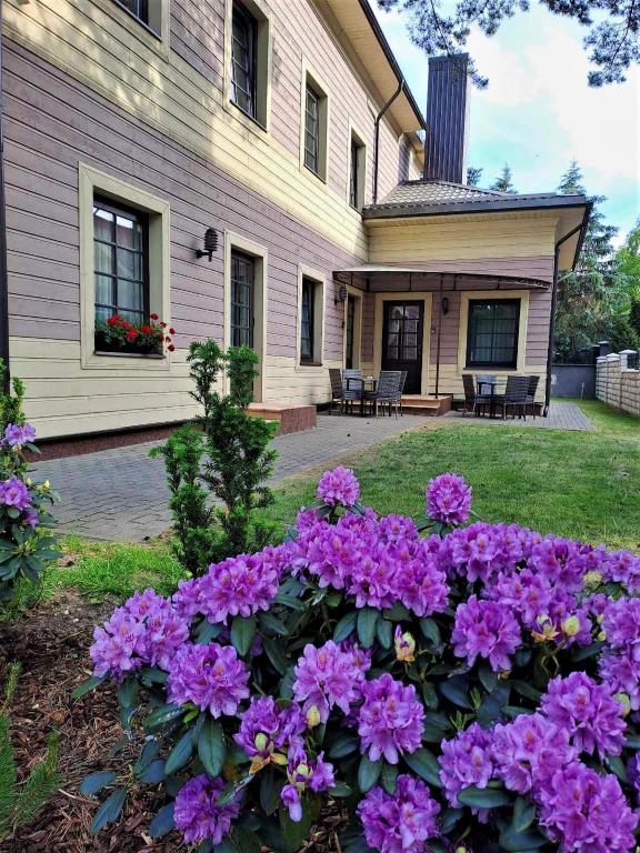 Guest House & Villa Astoma - 与露台的工作室