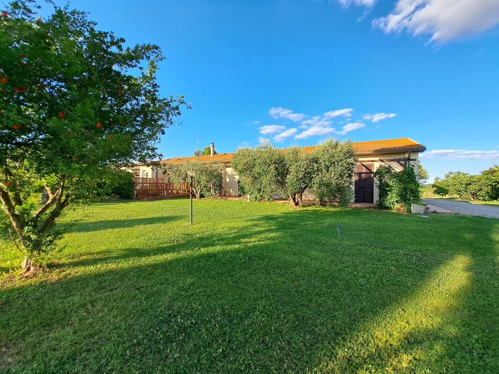 a large yard with a house and a tree at Agriturismo Tre Cerri di Zanaboni Franca in Orbetello