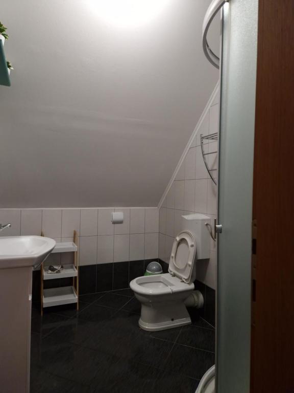 a bathroom with a toilet and a sink at Guest house Wolf II in Plitvička Jezera