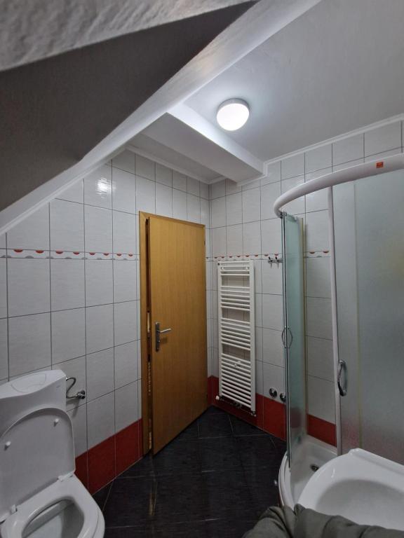 a bathroom with a toilet and a shower at Guest house Wolf II in Plitvička Jezera