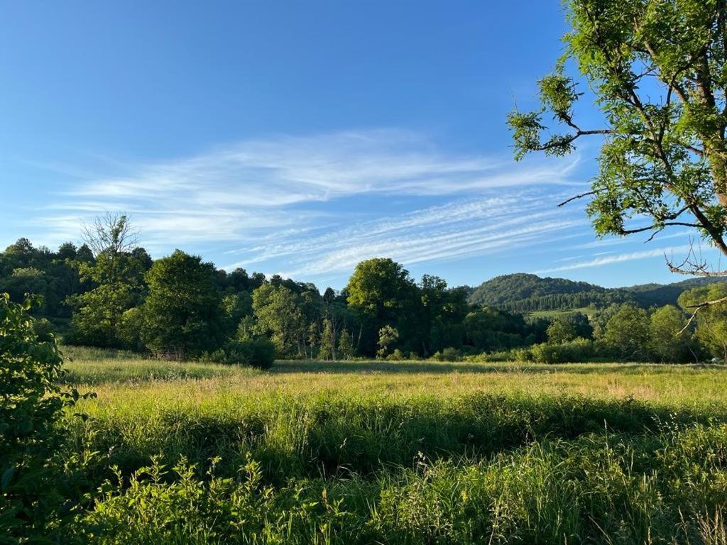 un campo de césped con árboles en el fondo en Bieszczady Domki w Dolinie Sanu en Lutowiska