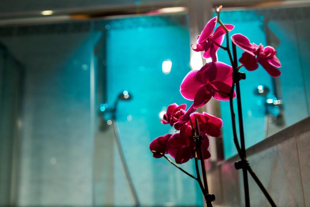 Hotel Gabriella - Resim 38