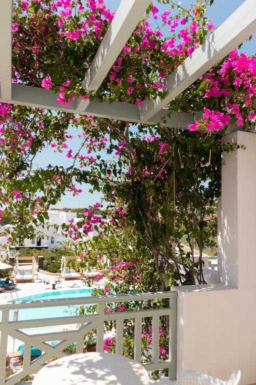 Astro Palace Hotel & Suites - 17