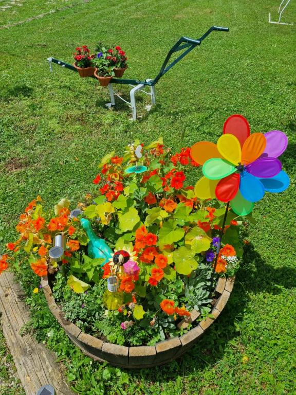 Apartments Luka - 12