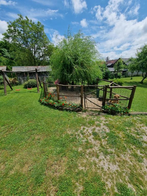 Apartments Luka - 14