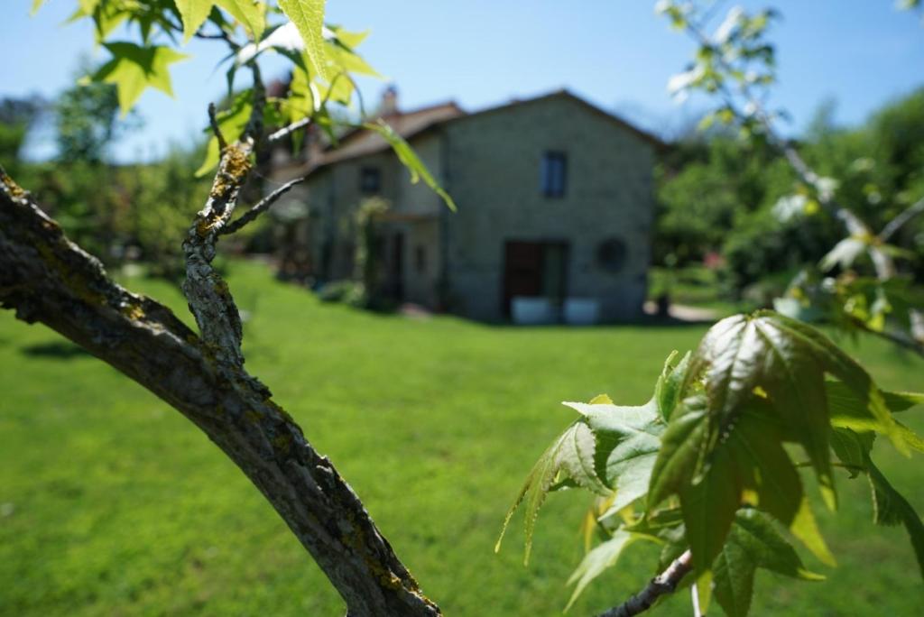 un ramo di un albero con una casa sullo sfondo di CASTAGNA DULCIS ad Abbadia San Salvatore