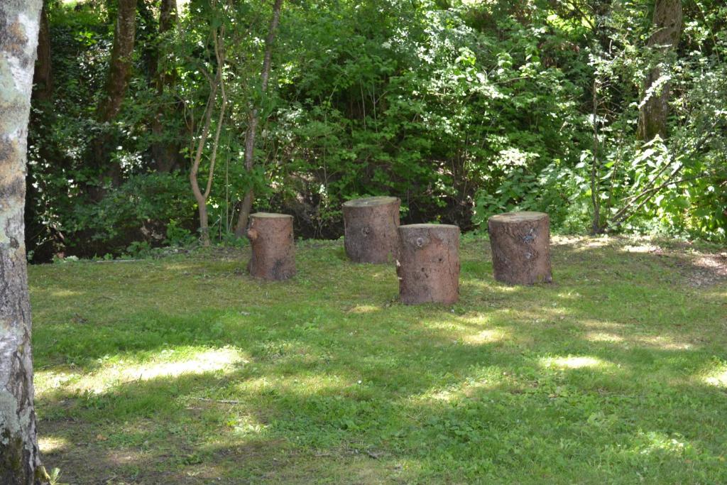 Ogród w obiekcie Les Bruyeres Gite