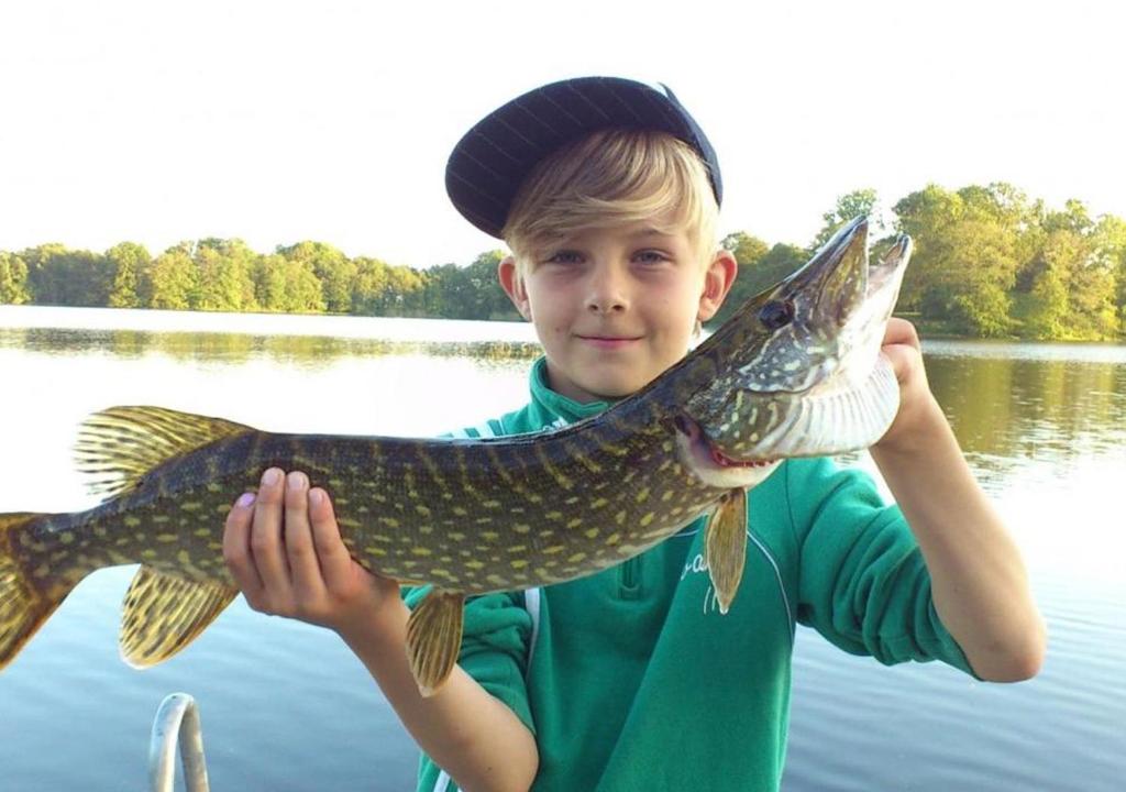 Hosté ubytování Valle vandrarhem och camping