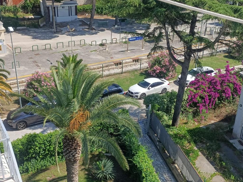 an aerial view of a parking lot with a palm tree at The Family Nest - Casa Eva in Manfredonia