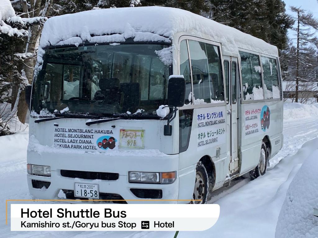 Hakuba Park Hotel v zimě