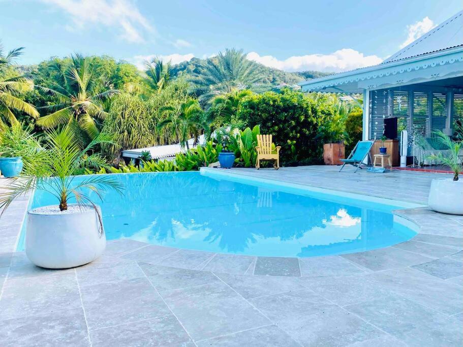 una piscina in un cortile con palme di Villa Gaïa - petit coin de paradis créole avec piscine et Jacuzzi a Le Diamant