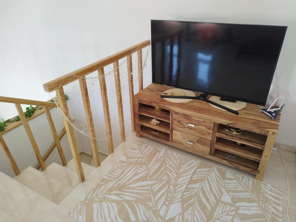 TV a/nebo společenská místnost v ubytování Mandre Duplex Apartment
