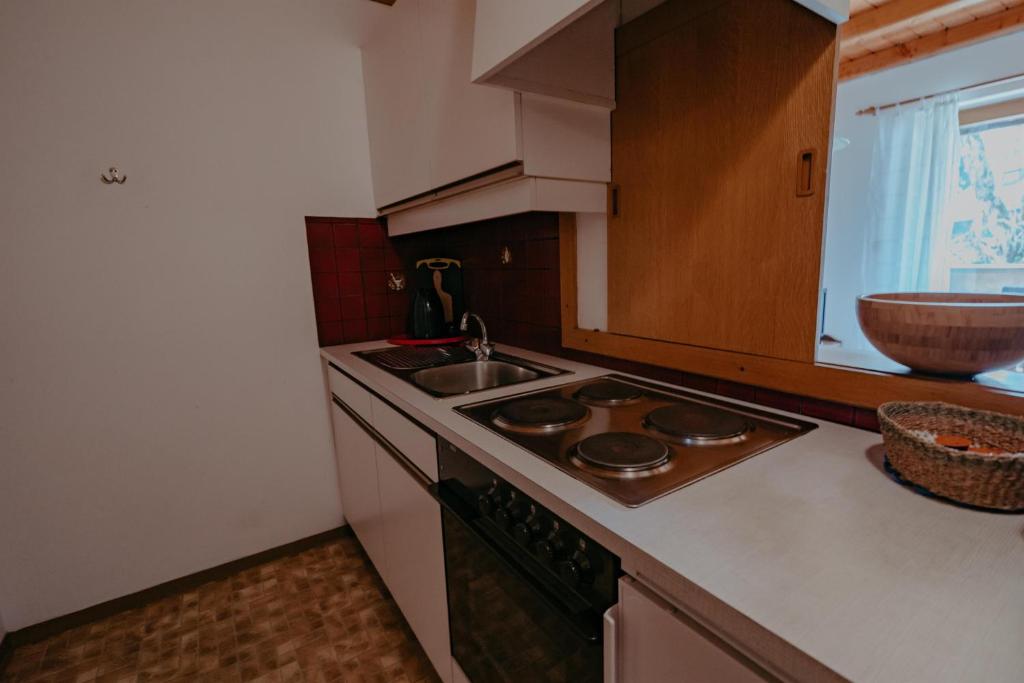 Kuchyň nebo kuchyňský kout v ubytování Villa Fernblick