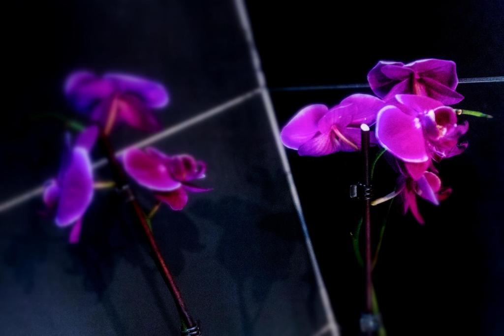 Hotel Gabriella - Resim 40