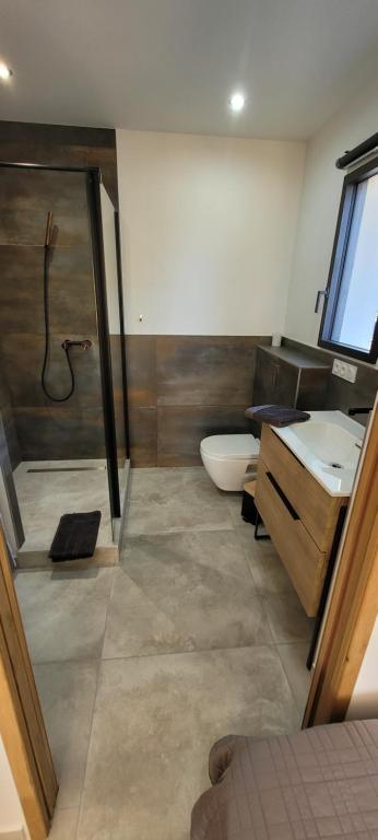 La salle de bains est pourvue d'une douche, de toilettes et d'un lavabo. dans l'établissement Les pins du Luberon, à Coustellet