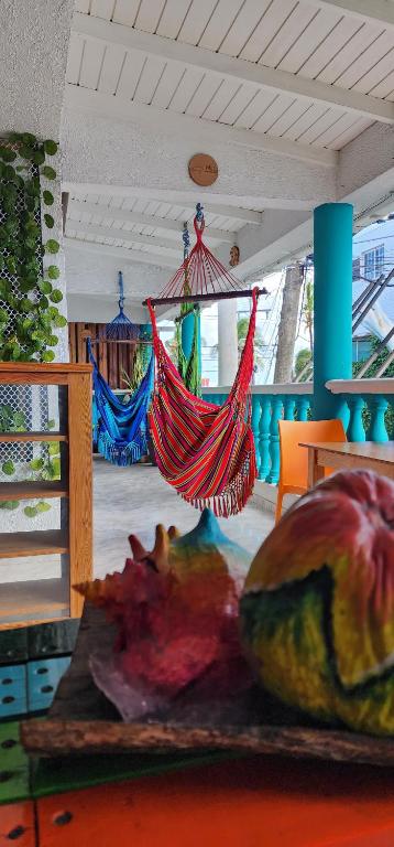 Fotografie z fotogalerie ubytování Karibbik Haus Hostel v destinaci San Andrés