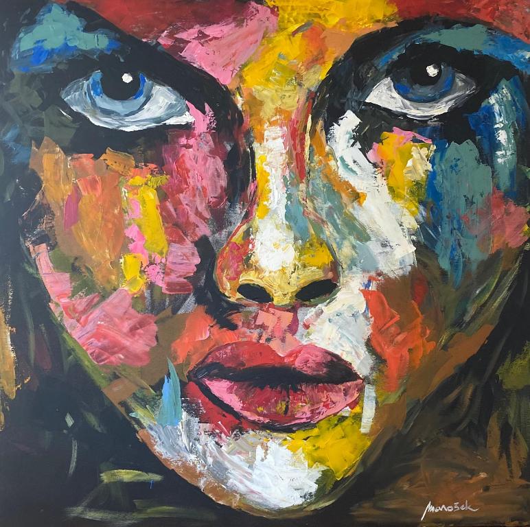 a painting of a womans face at Rooms & Apartment ZALA Airport shuttle option in Cerklje na Gorenjskem