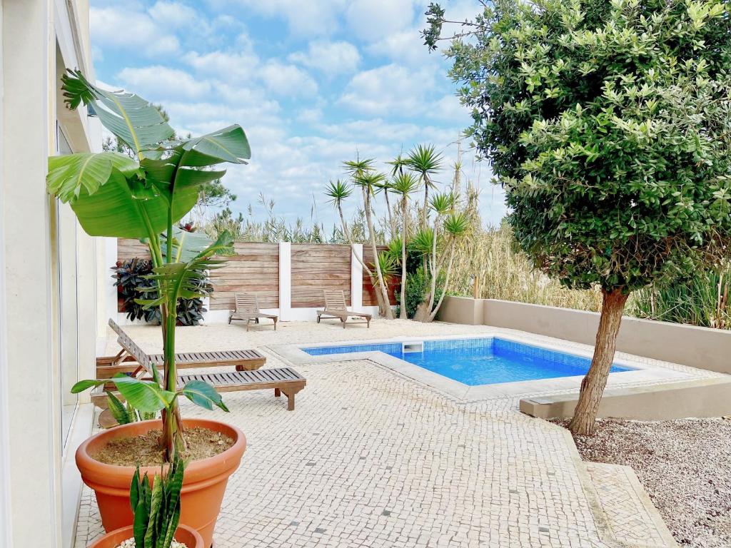 a patio with a swimming pool and plants at Sãone Guesthouse & Coworking in Ericeira