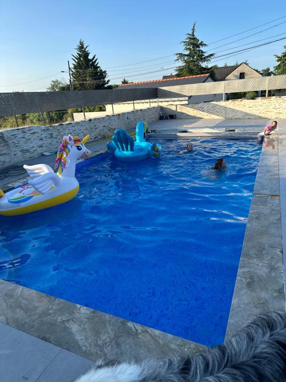 een zwembad met drie opblaasbaar speelgoed in het water bij Studio 2/4 à proximité de la loire in Les Ponts-de-Cé