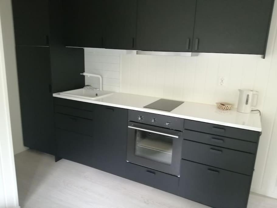 Η κουζίνα ή μικρή κουζίνα στο Lys og moderne leilighet i Bø.